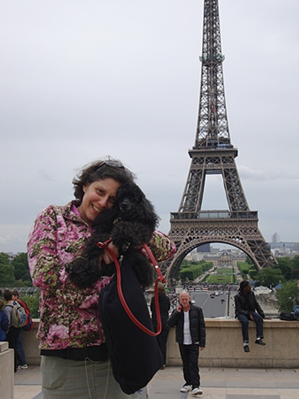 Poochie, a terrific poodle and the best traveling 
